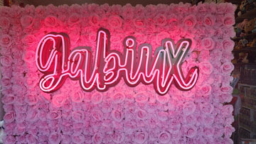 Pink Neon Sign